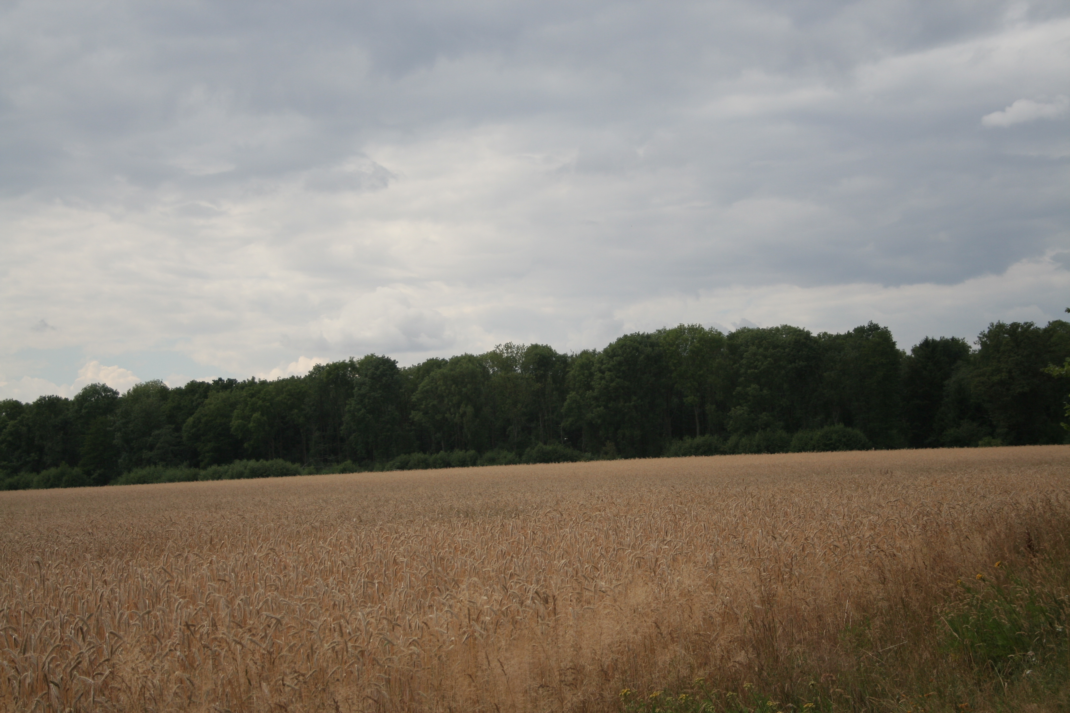 Hinter dem Park - Rundblick