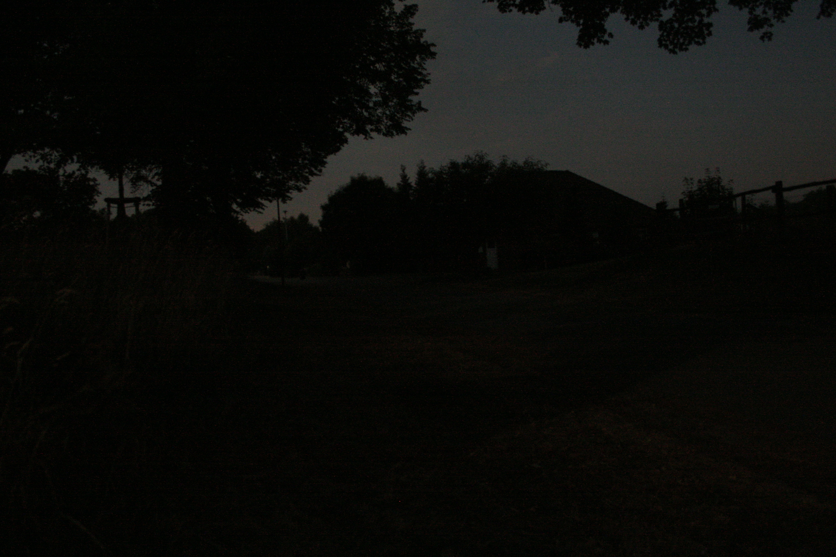 Vellahner Weg im Mondschein