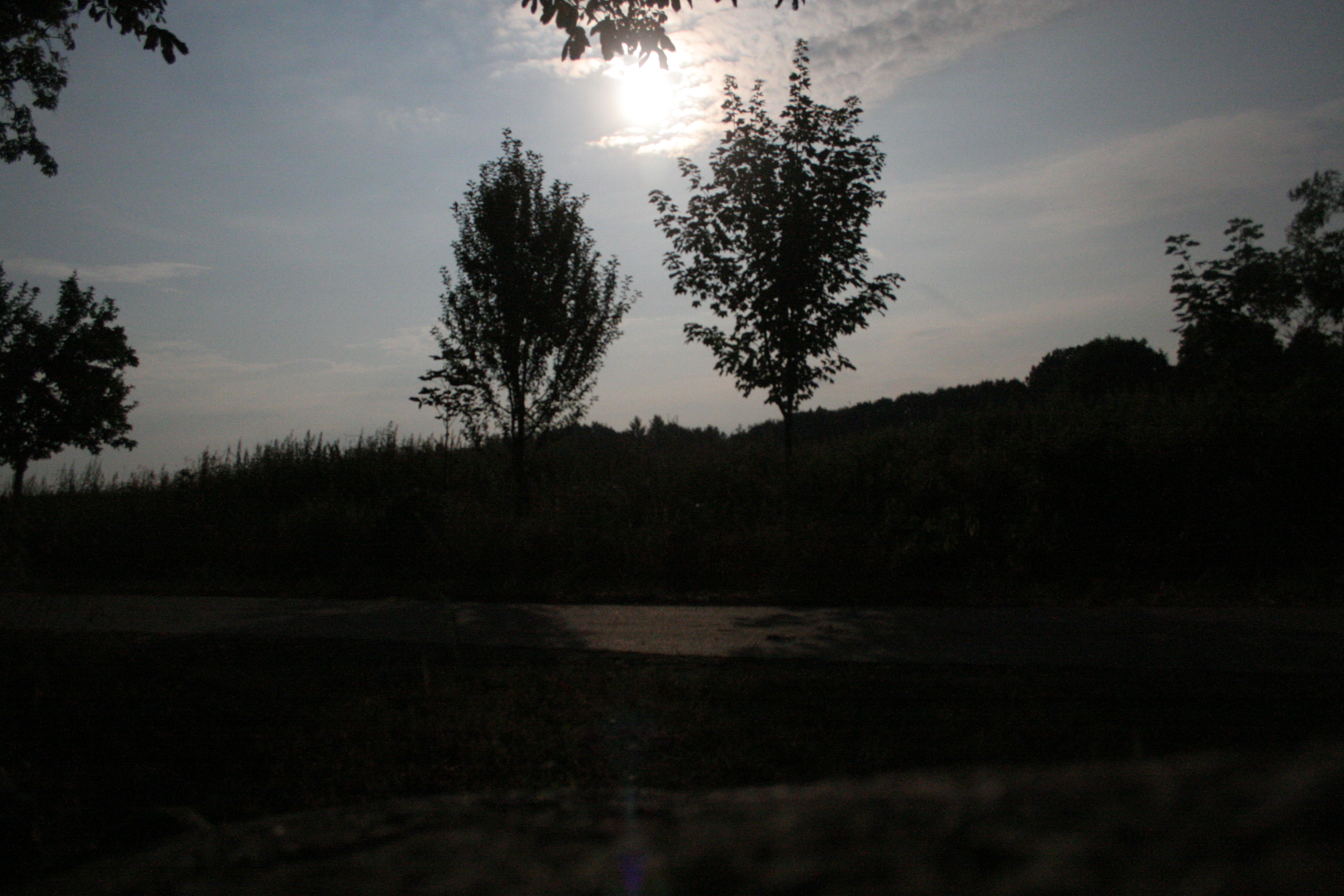 Vellahner Weg im Mondschein