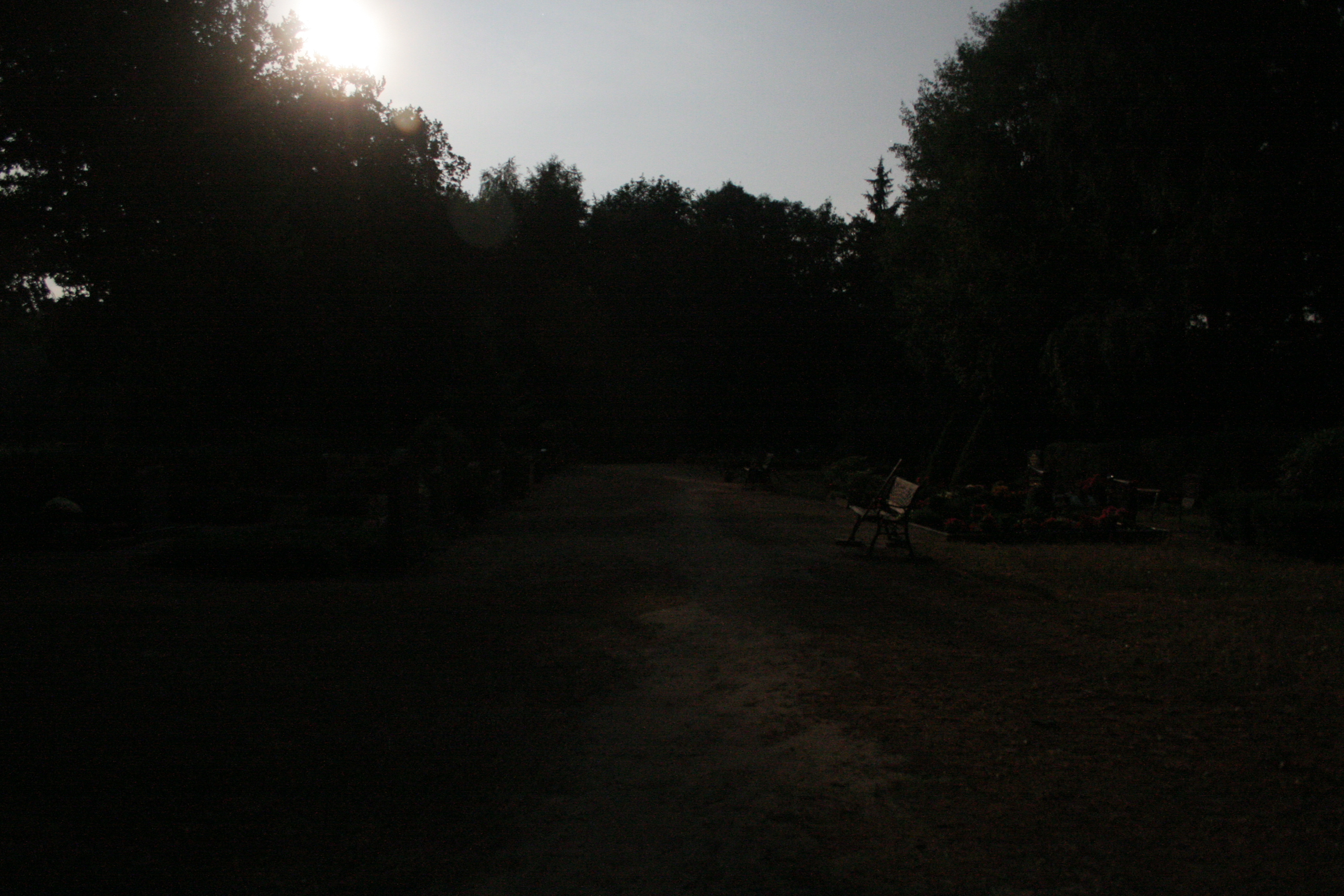 Friedhof im Mondschein