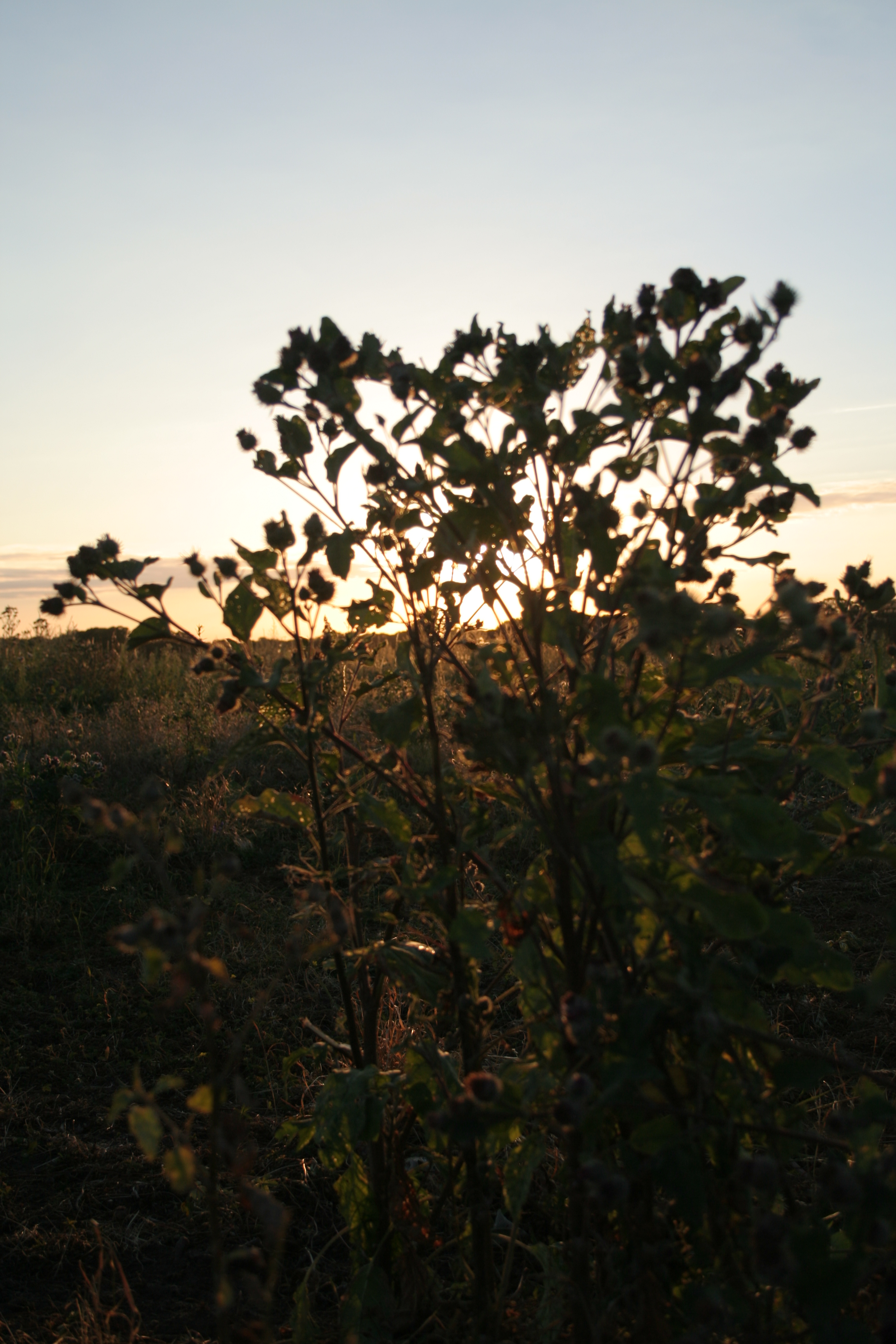 Sonnenuntergang Am Lehmberg