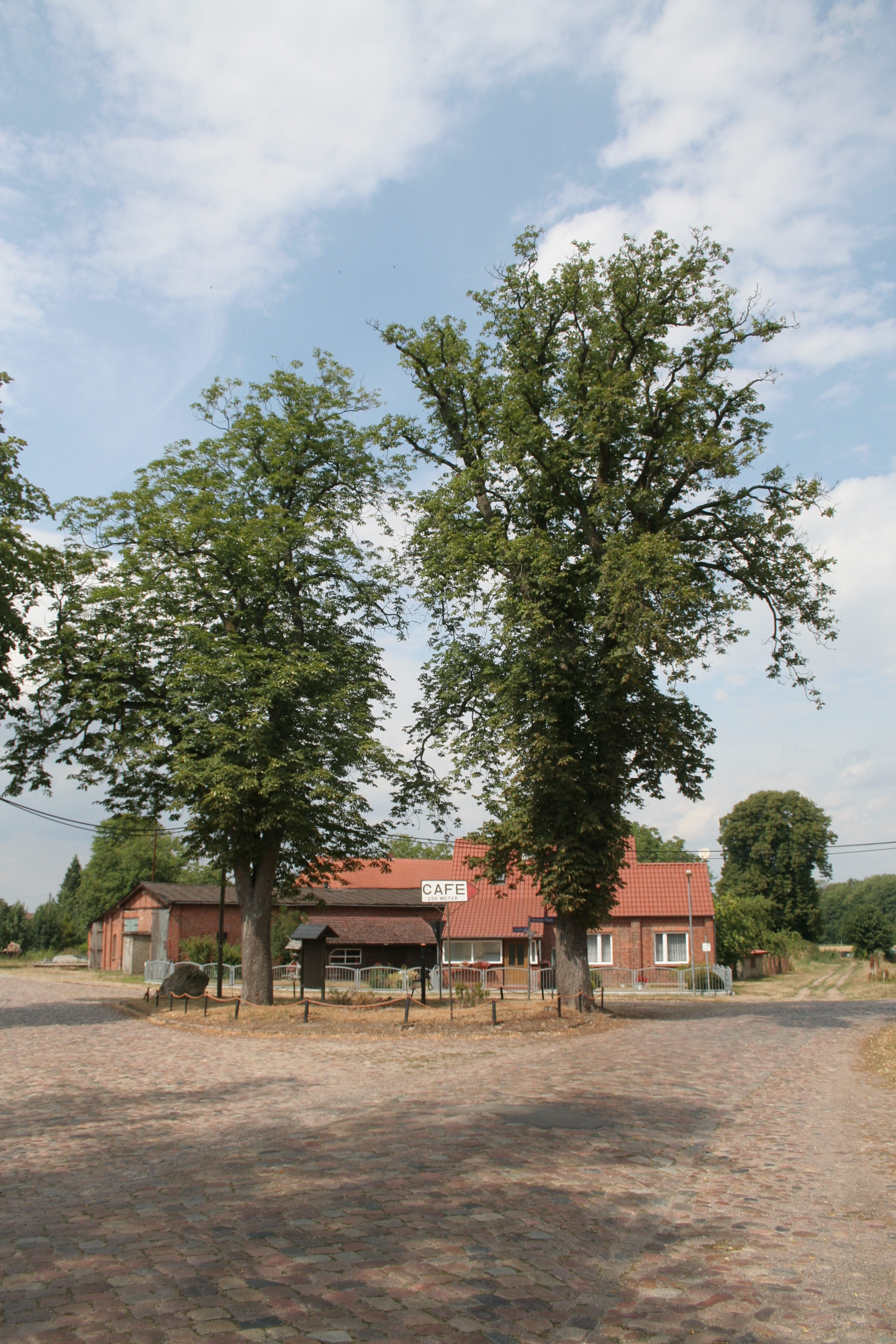 Katzenmarkt