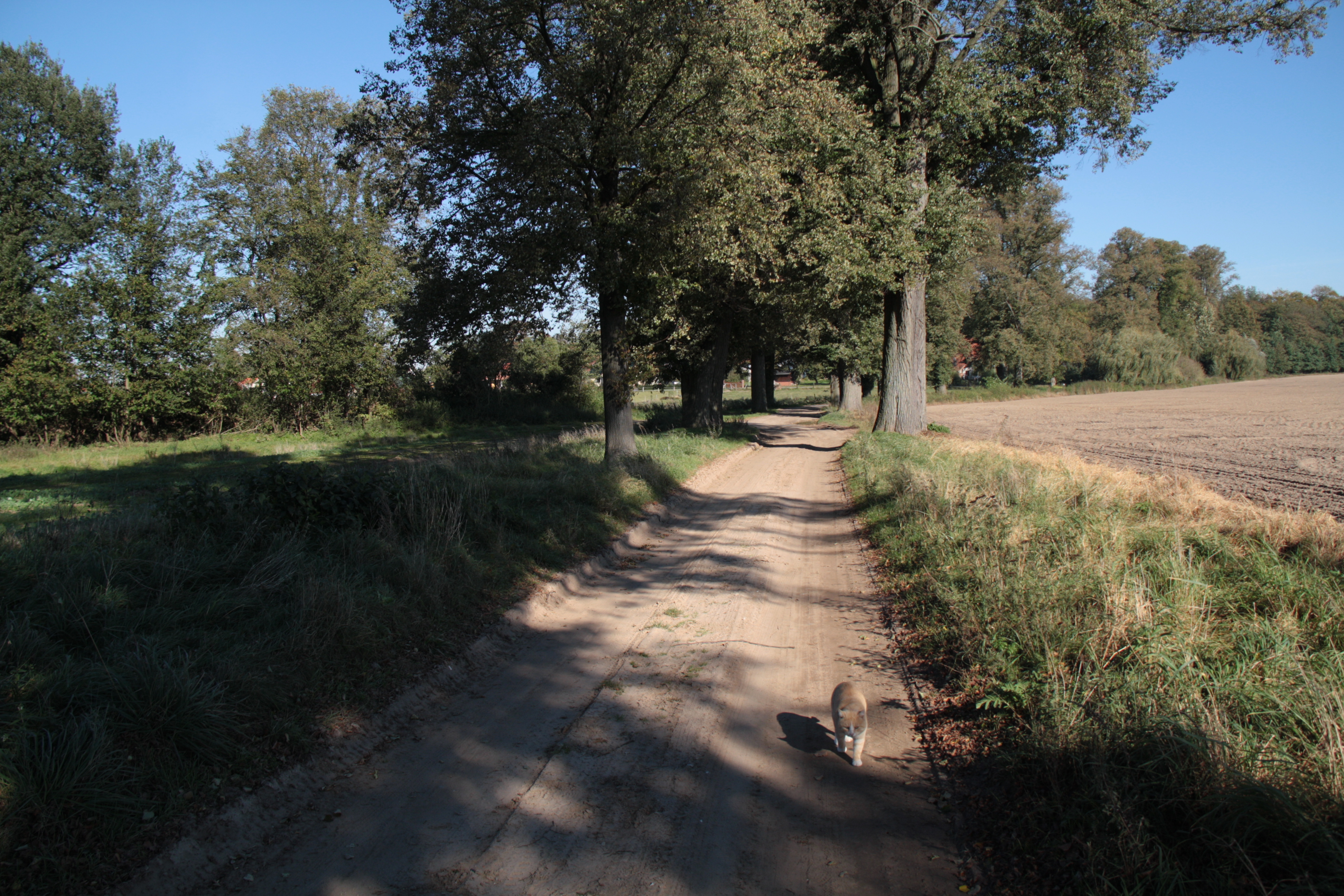 Dersenower Weg - Blickrichtung Dorf