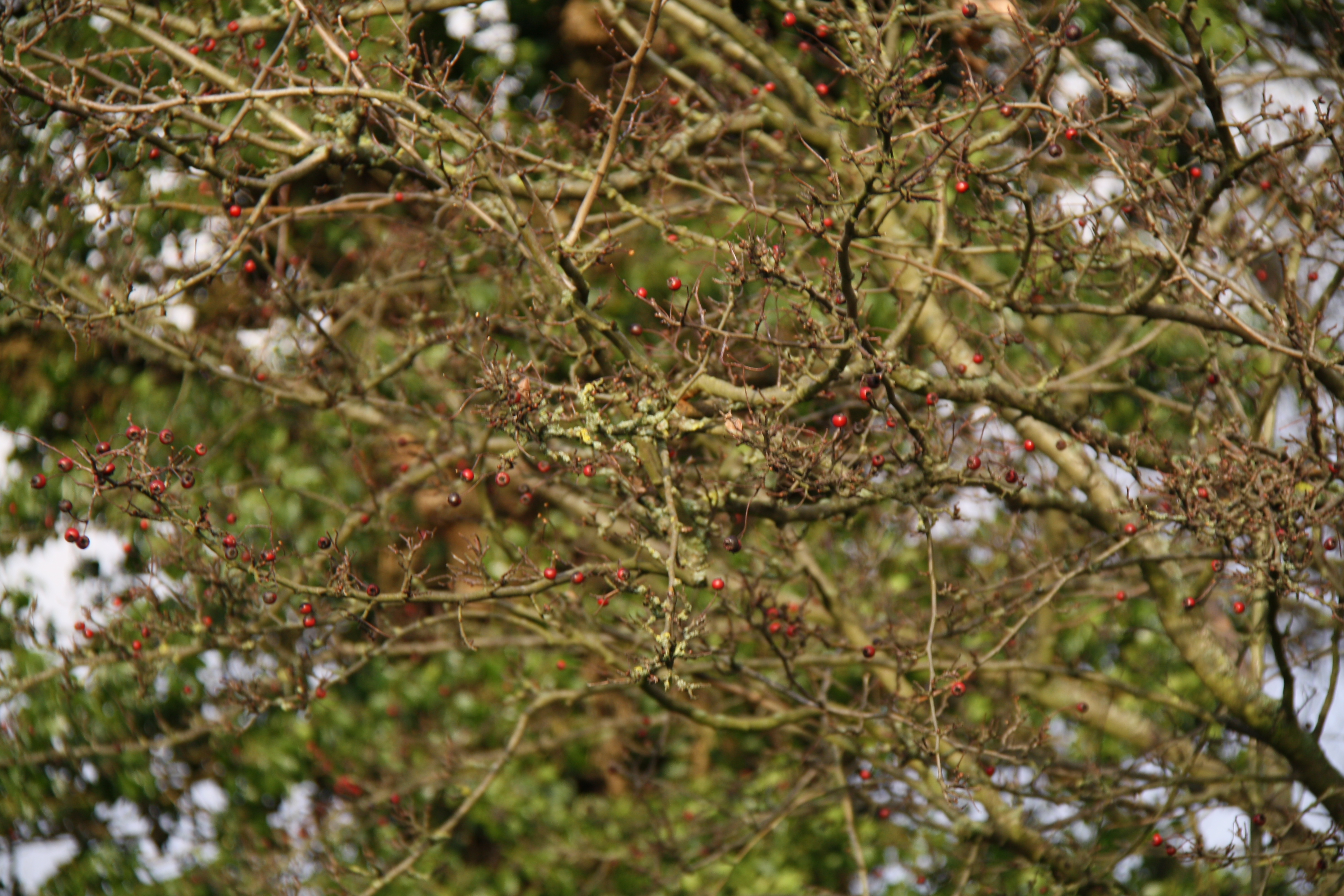 Kräftige Farben im Winter