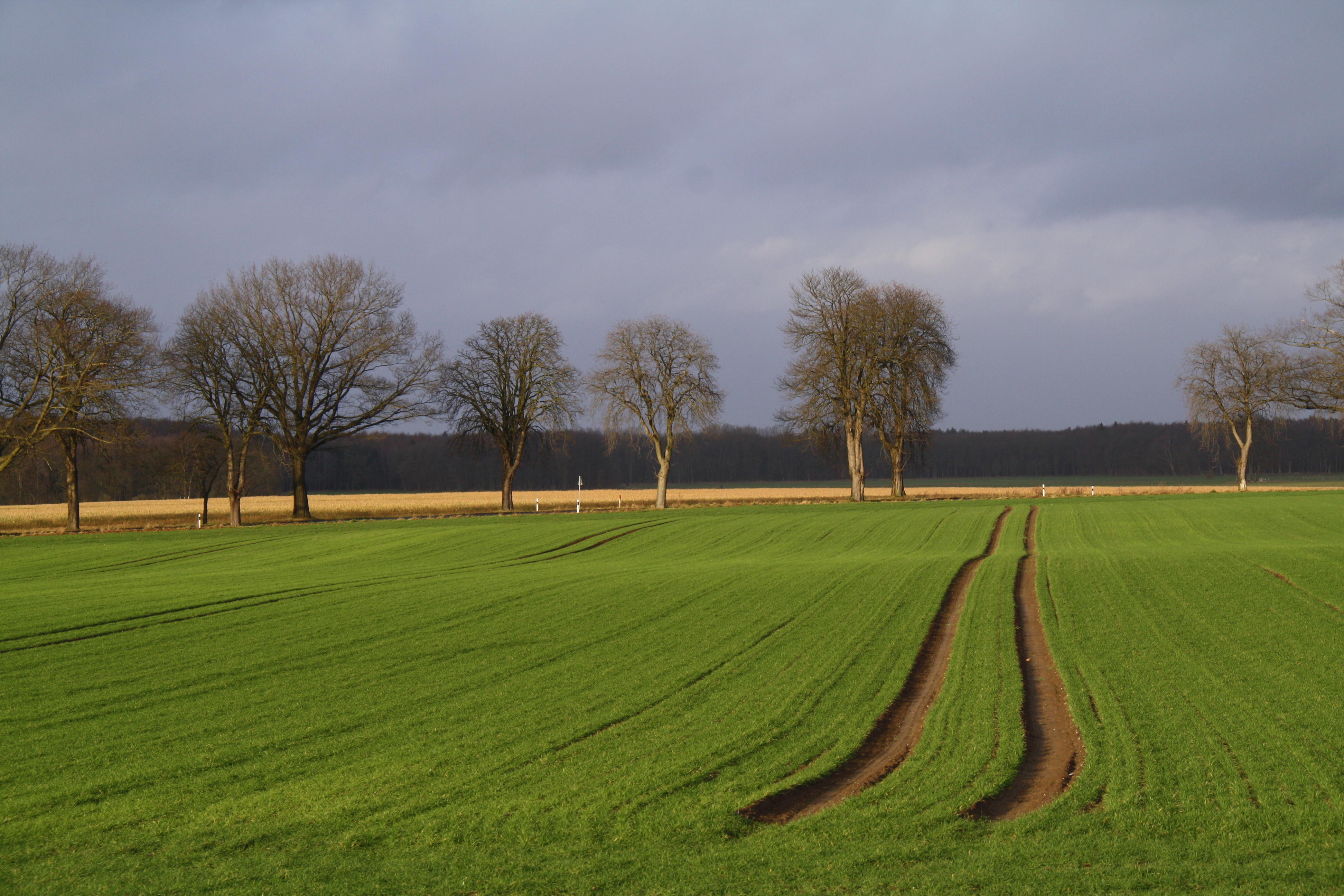 Marsower Str.