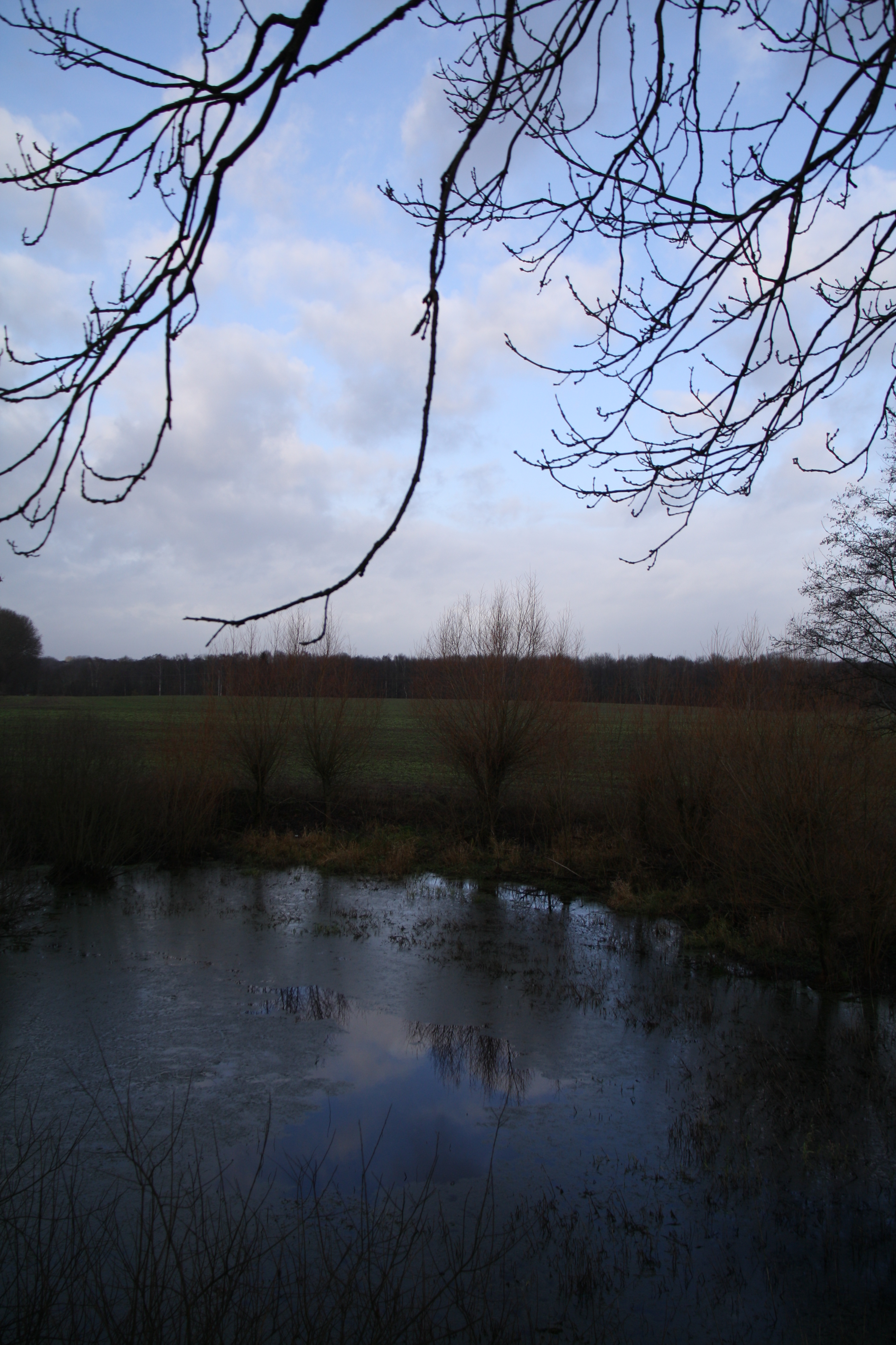 Teich auf dem Feld