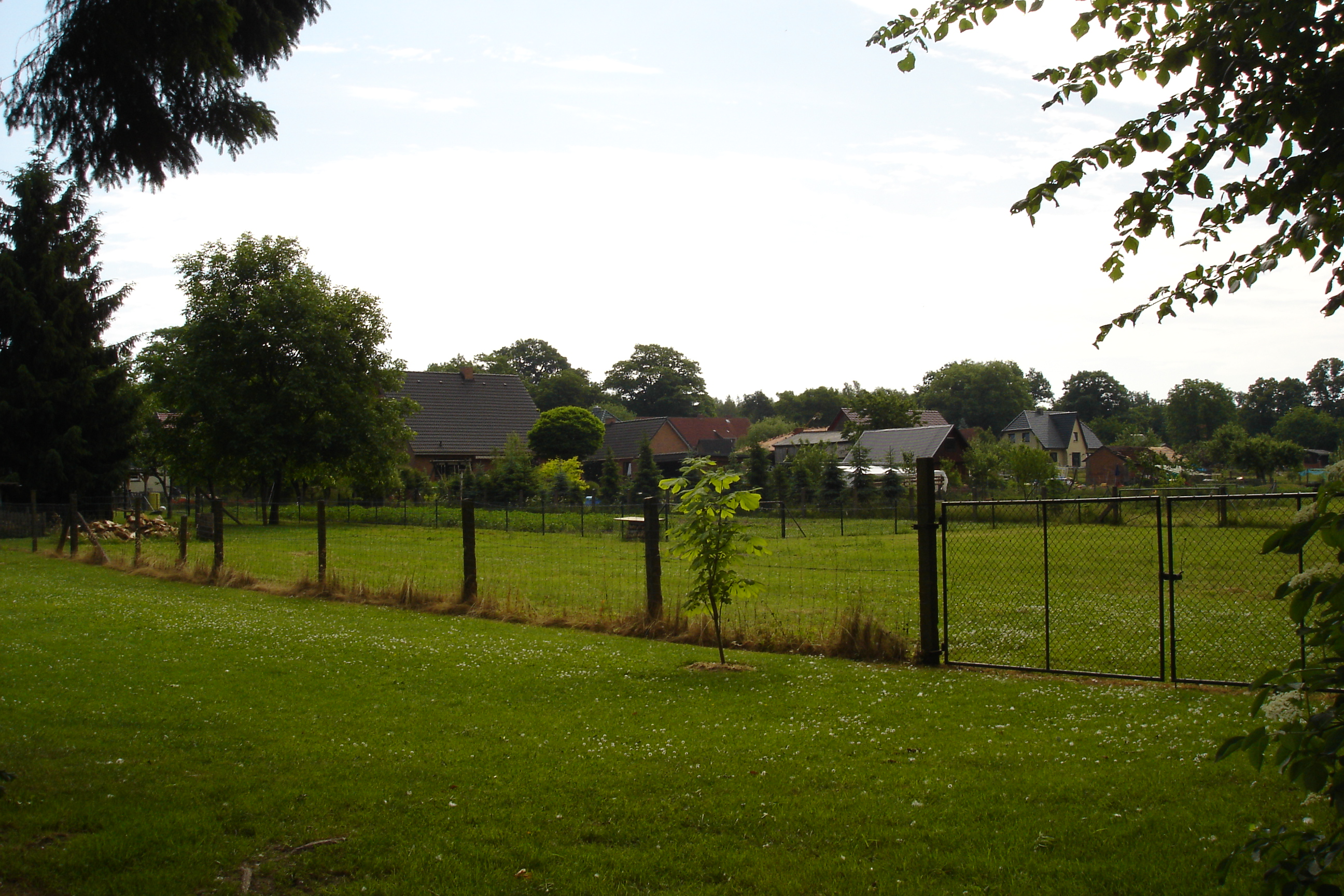 Schmiedekoppel aus Richtung Park