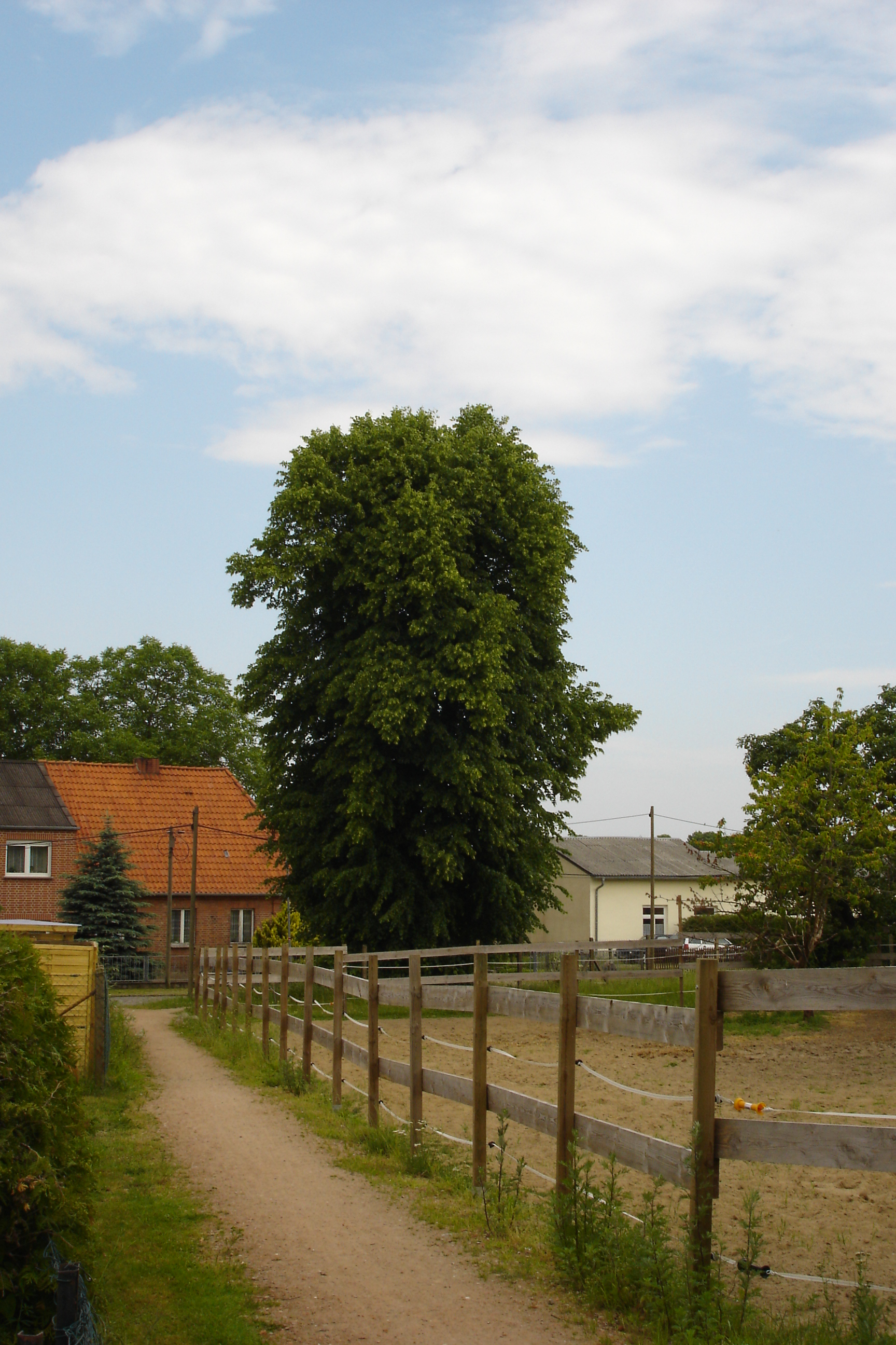 Alter Schulhof