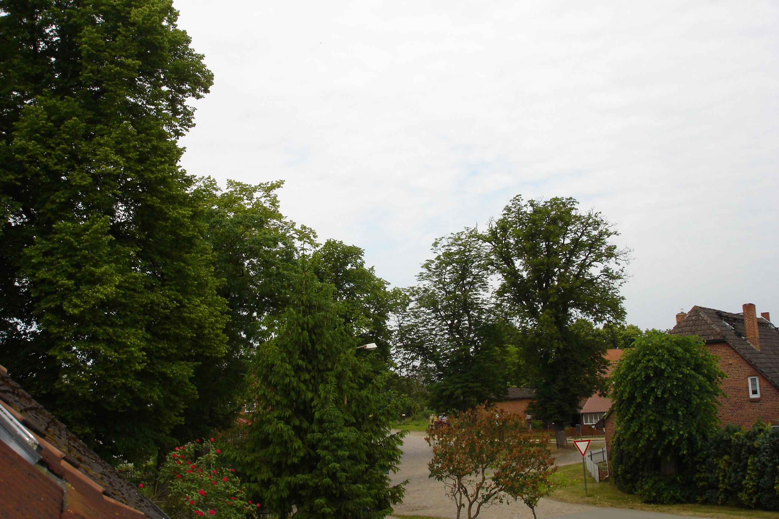 Vellahner Weg - Blickrichtung Katzenmarkt