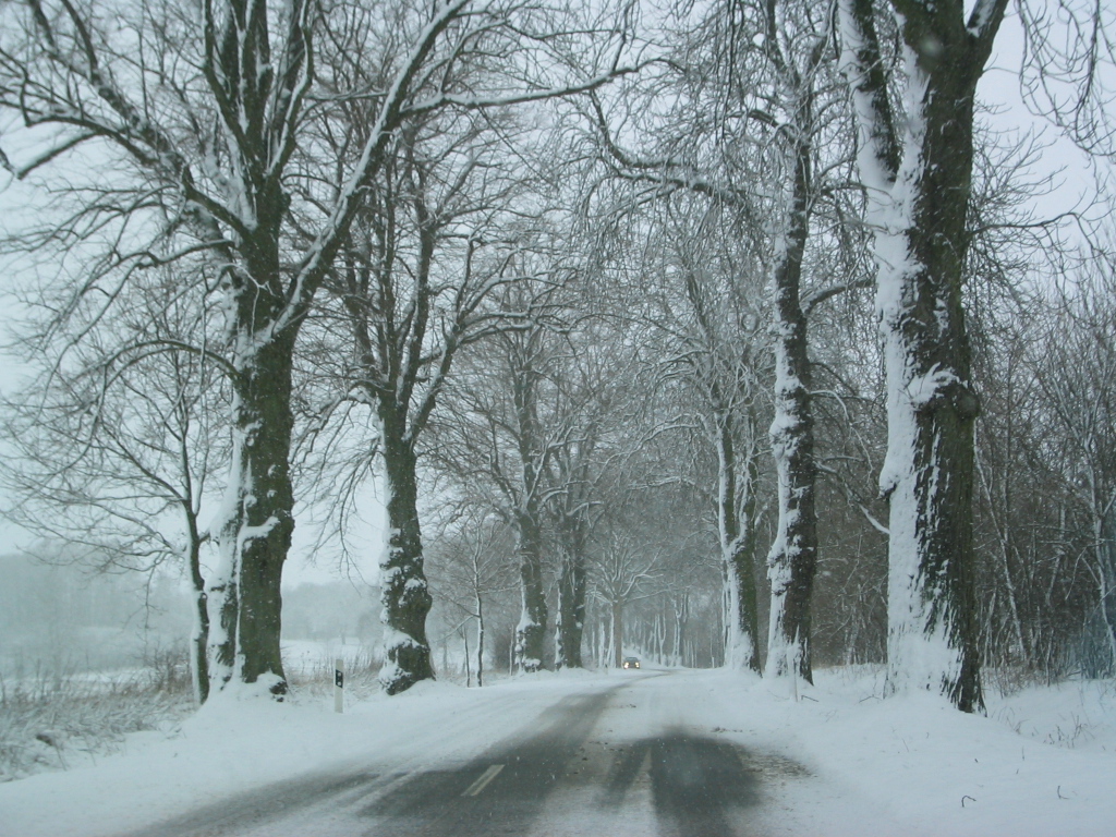 Der Weg nach Banzin im Winter