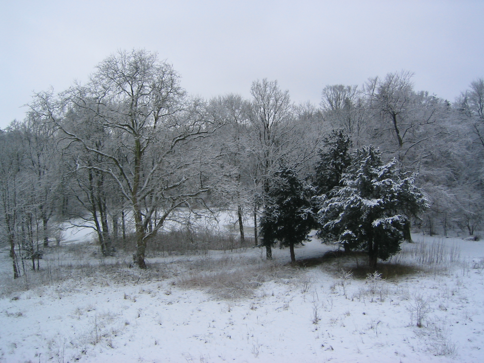 Winter - Rundblick aus dem Schloss