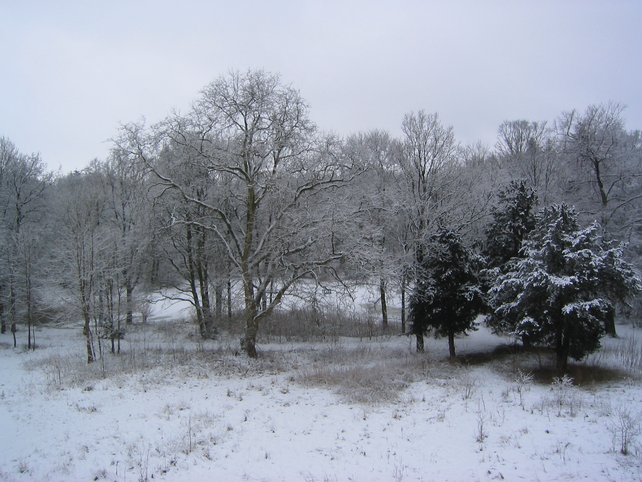 Winter - Rundblick aus dem Schloss